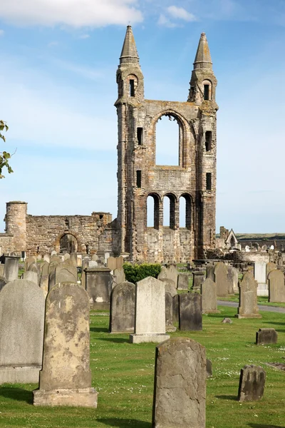 St andrews cathedral grunder, Skottland, Storbritannien — Stockfoto