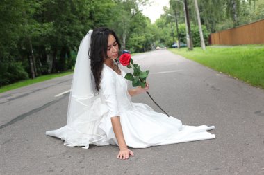 Gelin bir yol üzerinde oturan bir gül