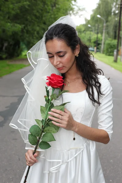 Bride with a rose — Stock Photo, Image