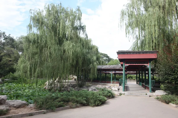 Dans le parc, Pékin, Chine — Photo