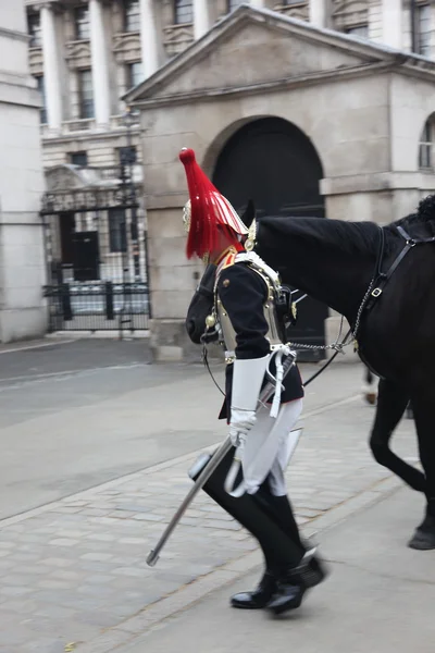 Strażnik królewski konia na nogi przed whitehall w konia parada straży w Londynie, Wielka Brytania — Zdjęcie stockowe