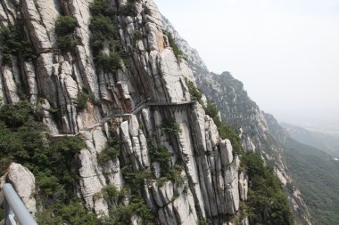 Görünüm MT shao, lin