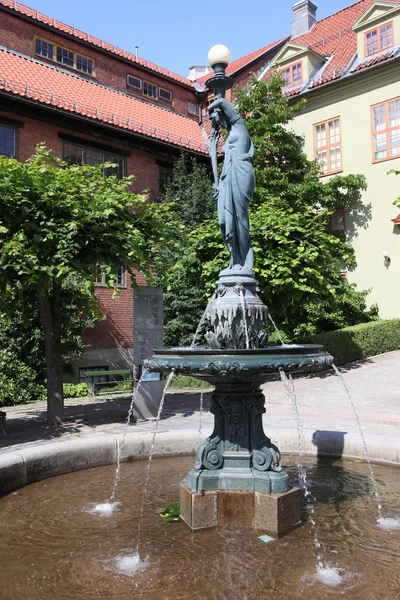 在奥斯陆，挪威海德鲁 folkemuseum 老喷泉 — 图库照片