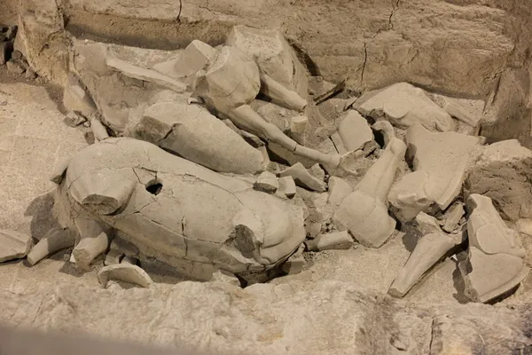 Guerreros de terracota en Xian, China — Foto de Stock