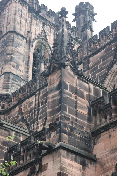 Chester cathedral — Stockfoto