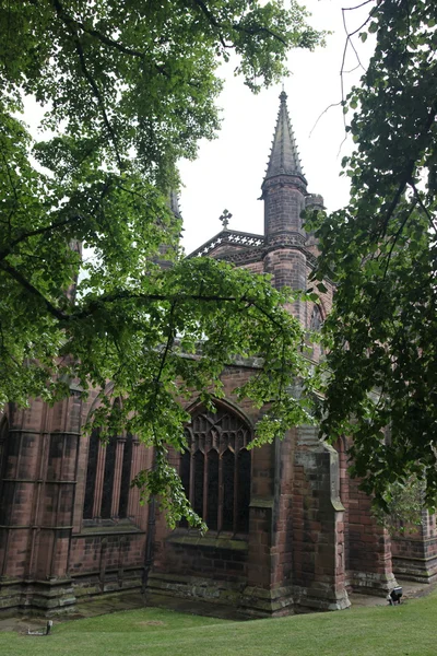 Chester cathedral — Stockfoto