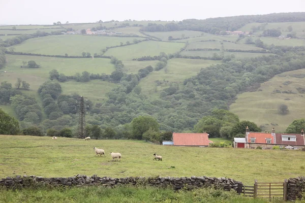 Inglaterra rural — Foto de Stock