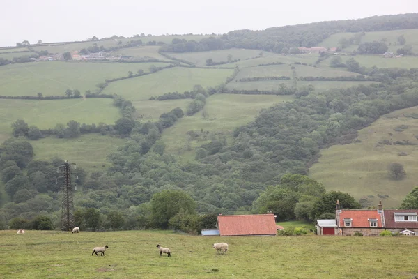 Rural England — Stock Photo, Image