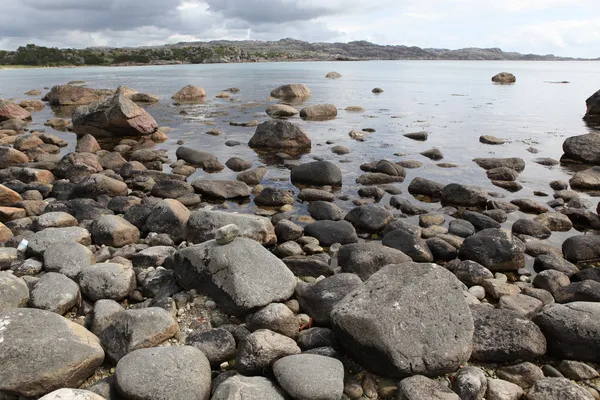 Stenig strand i Norge — Stockfoto