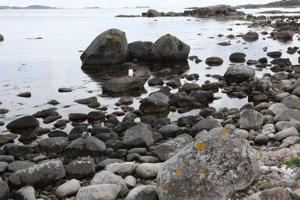 Norveç'te taşlı shore — Stok fotoğraf