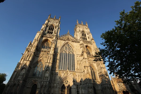 York Minster (Anglia legnagyobb középkori templom) — Stock Fotó