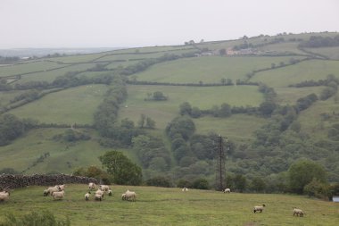 kırsal İngiltere