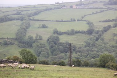 kırsal İngiltere