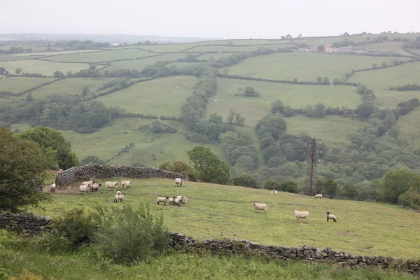 Rural Inglaterra — Fotografia de Stock