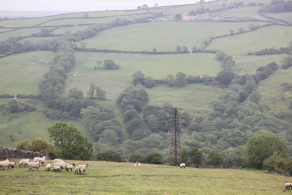 Inglaterra rural — Foto de Stock