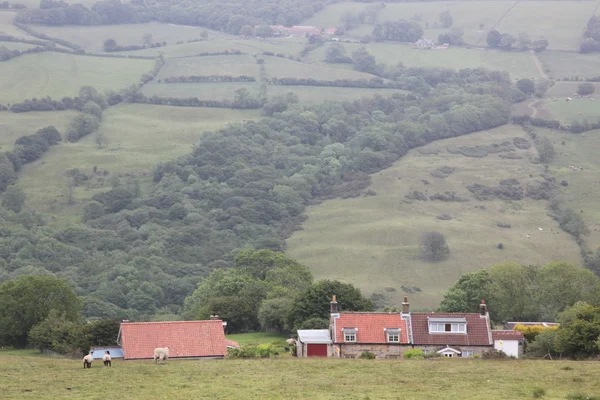 Rural Inglaterra — Fotografia de Stock