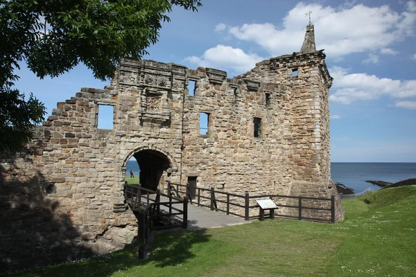 Zříceniny hradu st andrews — Stock fotografie