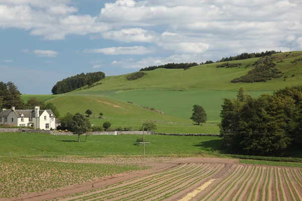 Rural England, Reino Unido — Fotografia de Stock