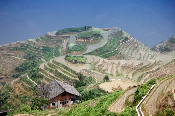 Longji pirinç terasları, guangxi Eyaleti, Çin — Stok fotoğraf