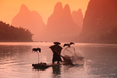 Çinli adamın karabatak kuş ile Balık tutma