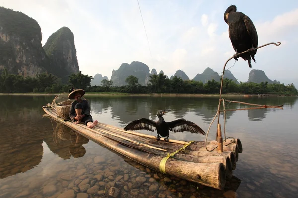 Uomo cinese pesca con cormorani uccelli — Foto Stock