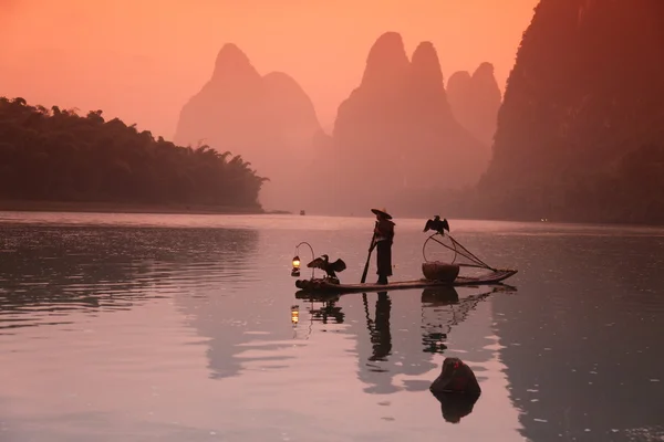 Chinese mens vissen met vogels aalscholvers — Stockfoto