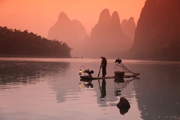 Homem chinês pesca com corvos-marinhos pássaros — Fotografia de Stock