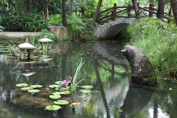 中国の庭 — ストック写真