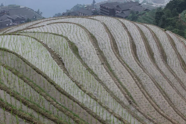 中国龍池棚田 — ストック写真