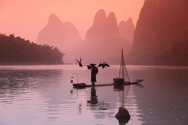 Hombre chino pescando con cormoranes pájaros — Foto de Stock