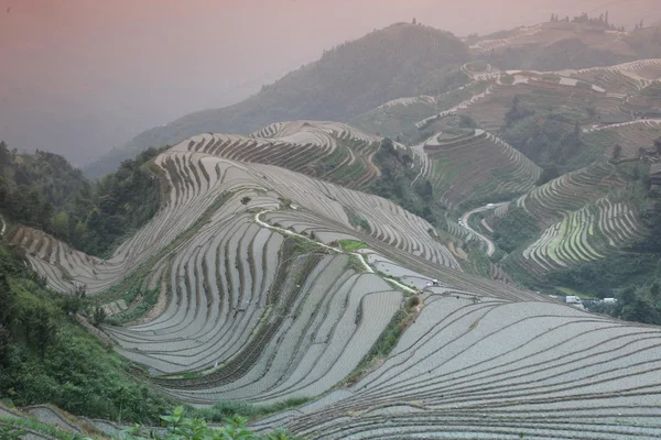 Longji rýžové terasy, provincii Kuang-si, Čína — Stock fotografie