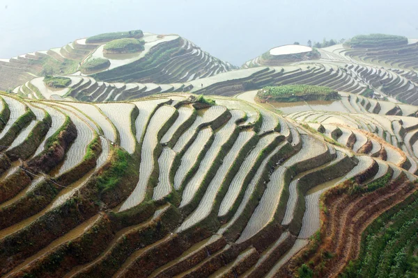 Terraços de arroz Longji, província de Guangxi, China — Fotografia de Stock