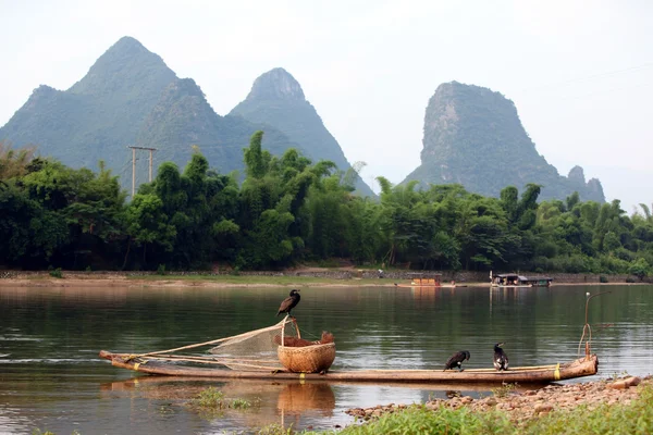 Barco con cormoranes aves, pesca tradicional en China uso tra —  Fotos de Stock