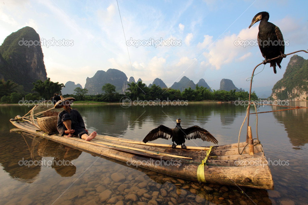 YANGSHUO - JUNE 18: Chinese Chinese man fishing with cormorants