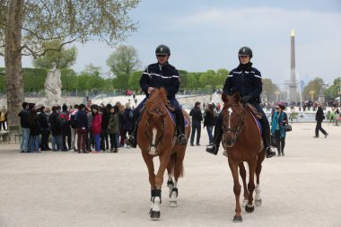 Polis üzerinden atlar. Paris