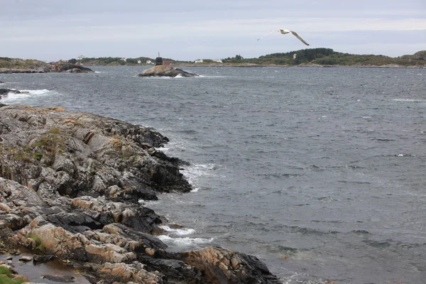 Norwegian coast with stones and rocks — Stock Photo, Image