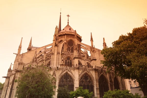 Notre Dame de Paris Katedrali, Fransa — Stok fotoğraf