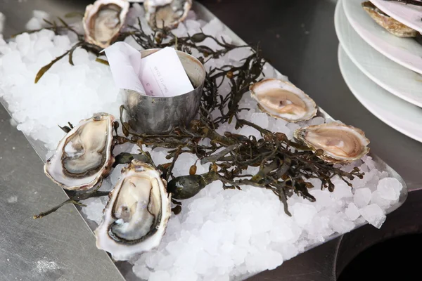 Mariscos En Venta, París — Foto de Stock