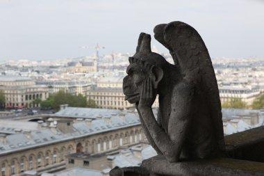 Chimera notre dame Katedrali üzerinde