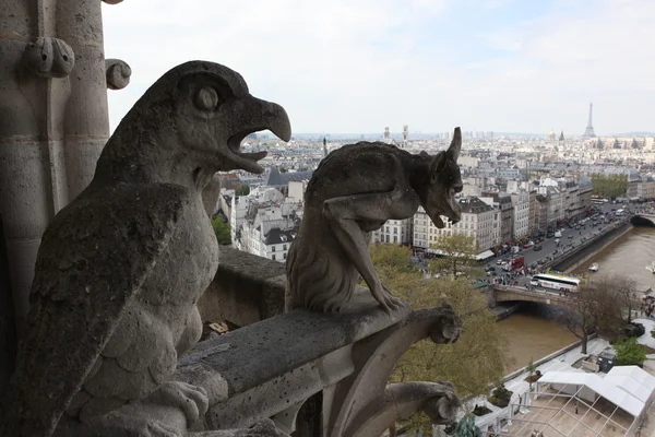 Chimera w katedrze notre dame — Zdjęcie stockowe