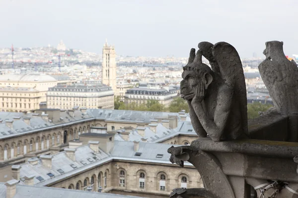 Chimera notre dame Katedrali üzerinde — Stok fotoğraf