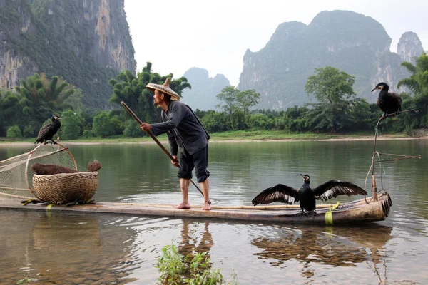 YANGSHUO - 18 GIUGNO: L'uomo cinese pesca con i cormorani — Foto Stock