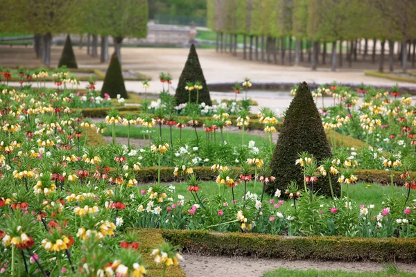Jardines de Versalles, Francia — Foto de Stock