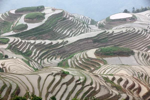 Terrazas de arroz Longji, provincia de Guangxi, China —  Fotos de Stock