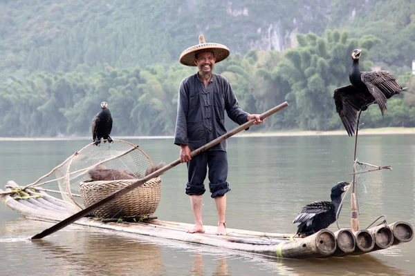 Yangshuo - 18 juni: Kinesisk kinesisk man fiske med skarv — Stockfoto