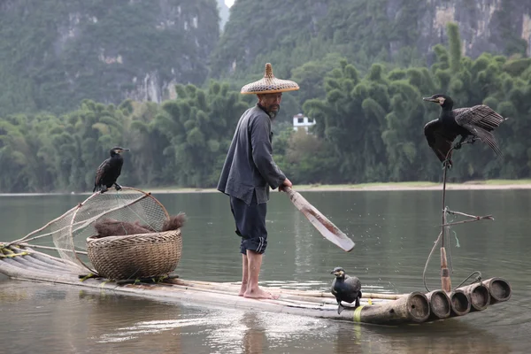 Yangshuo - 18 juni: Kinesisk kinesisk man fiske med skarv — Stockfoto