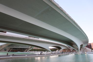 Sanat ve aciences Valencia, İspanya