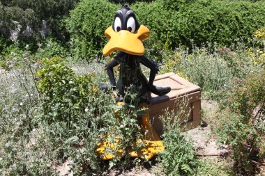 warner brothers Park İspanya ördek.