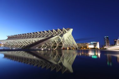 Valencia şehir sanat ve bilim Night shot