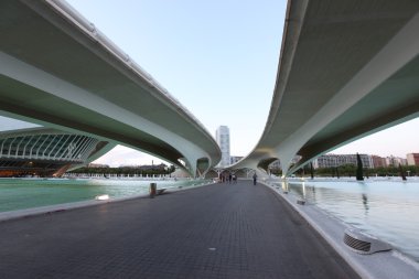 Valencia, İspanya: toplayan hemisferic ve palau de les arts reina sofia